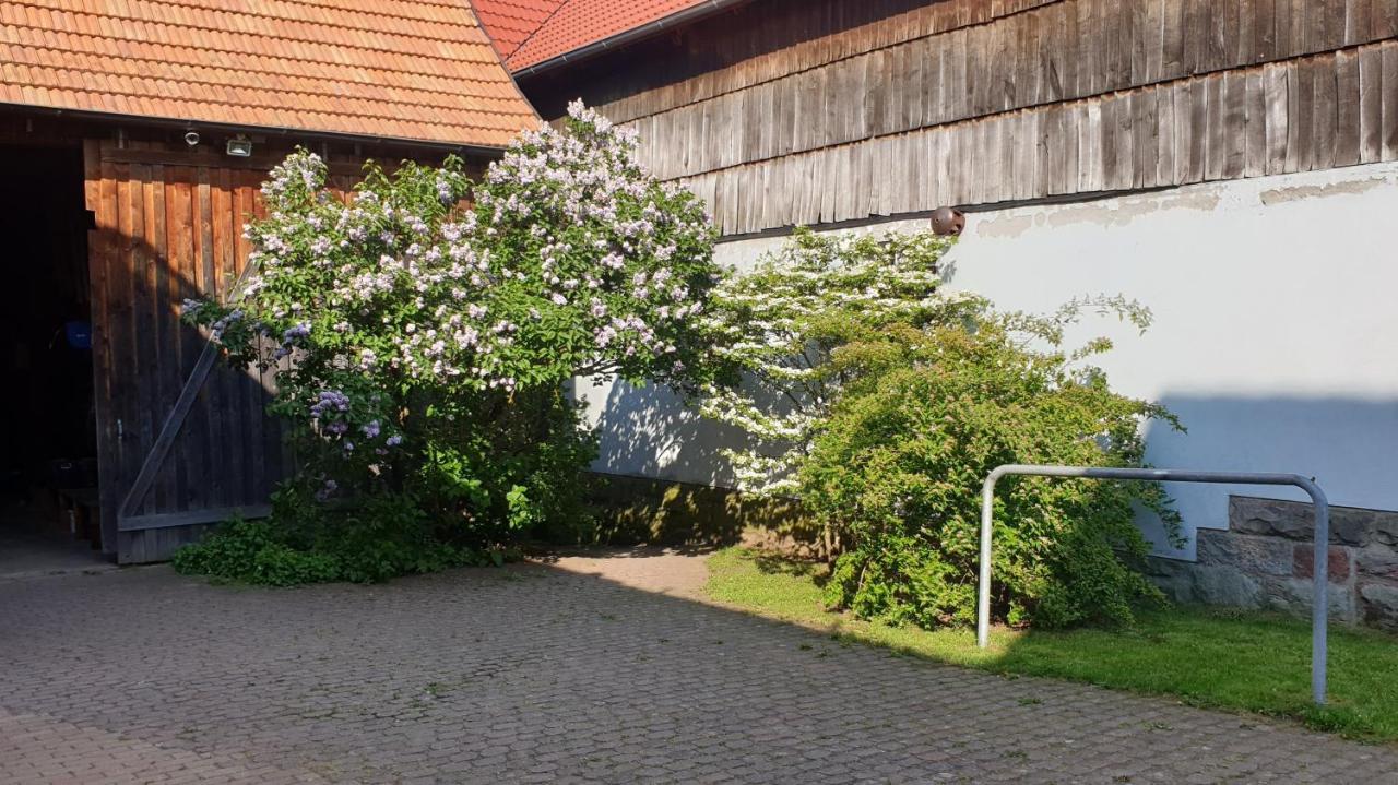 Studio Kaline Sandberg Exterior foto